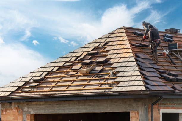 Best Asphalt Shingle Roofing  in Elverta, CA